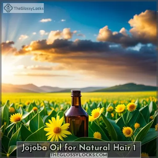 jojoba oil for natural hair 1