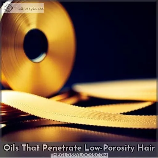 Oils That Penetrate Low-Porosity Hair