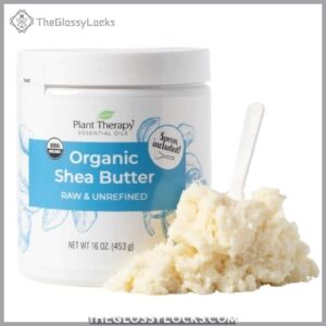 Plant Therapy Organic African Shea B08WJHCB2C