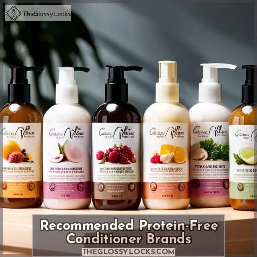 Recommended Protein-Free Conditioner Brands
