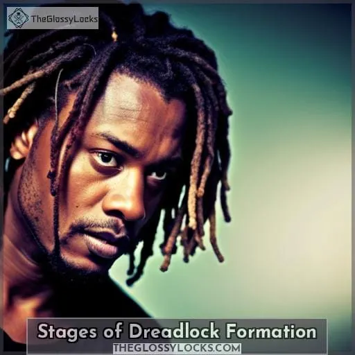Stages of Dreadlock Formation