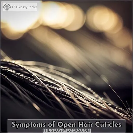 Symptoms of Open Hair Cuticles
