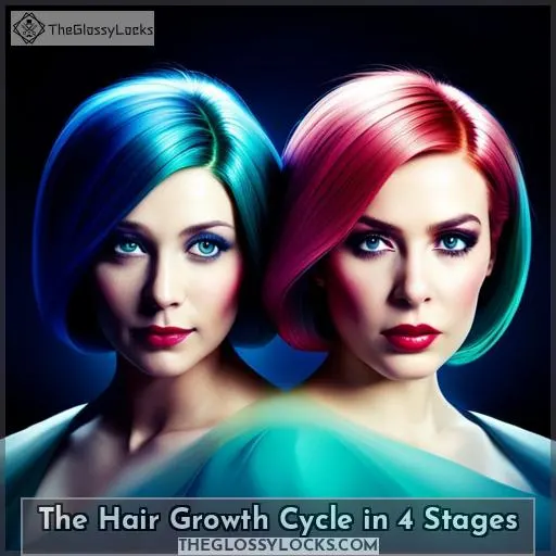 The Hair Growth Cycle in 4 Stages