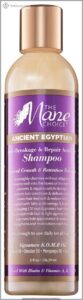 The Mane Choice Ancient Egyptian