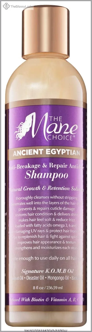 The Mane Choice Ancient Egyptian