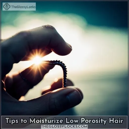 Tips to Moisturize Low Porosity Hair