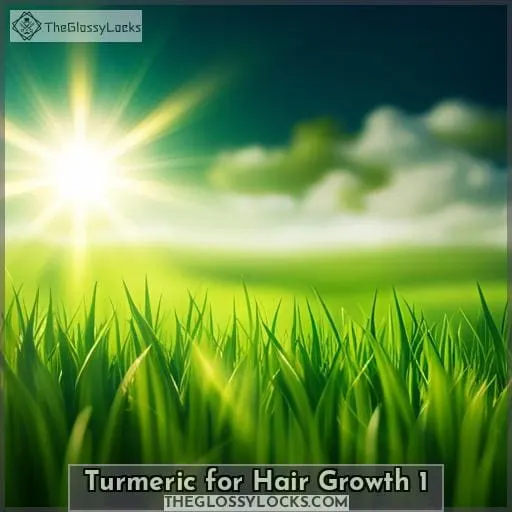 turmeric for hair growth 1
