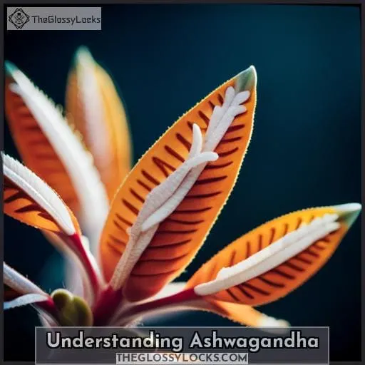 Understanding Ashwagandha