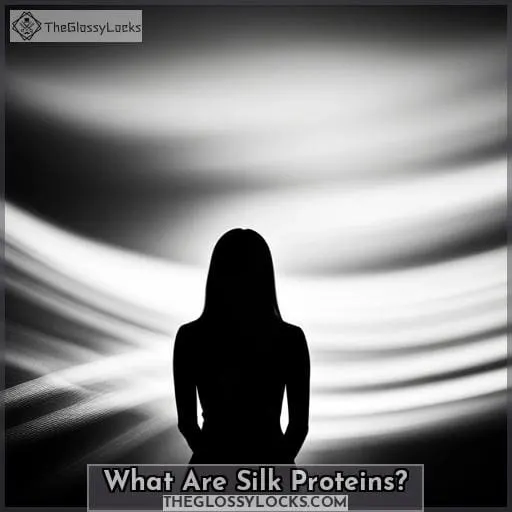 What Are Silk Proteins?