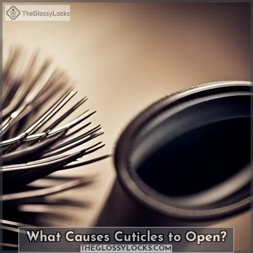 What Causes Cuticles to Open