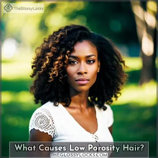 What Causes Low Porosity Hair?