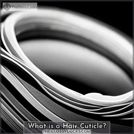 What is a Hair Cuticle