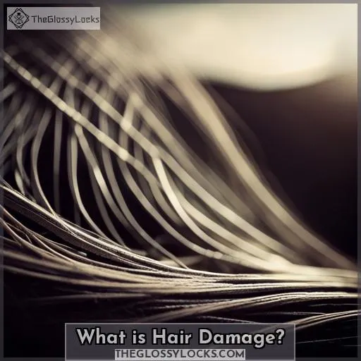 What is Hair Damage?