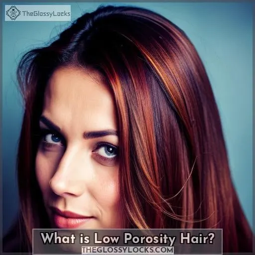 What is Low Porosity Hair?