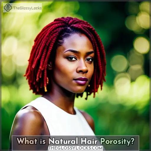 What is Natural Hair Porosity?