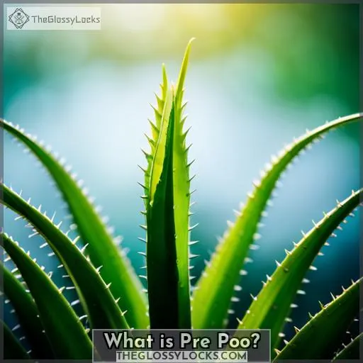 What is Pre Poo?