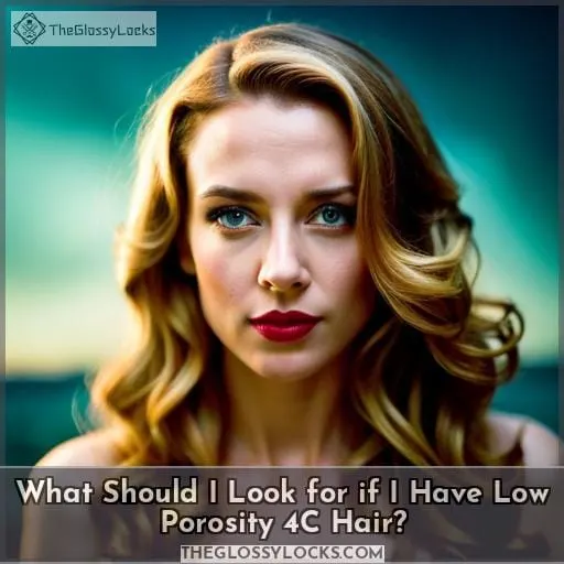 What Should I Look for if I Have Low Porosity 4C Hair?