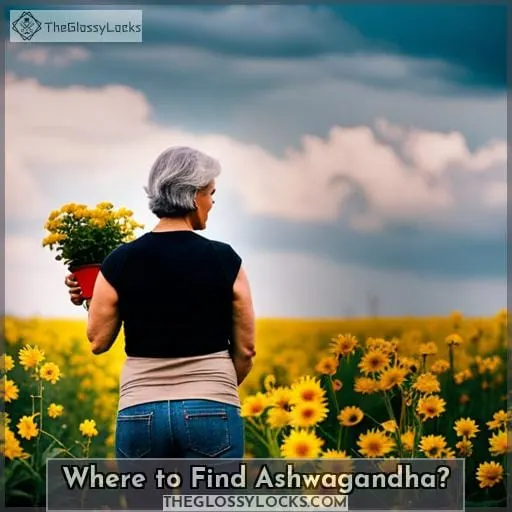 Where to Find Ashwagandha?