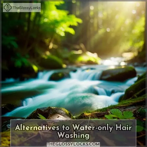 Alternatives to Water-only Hair Washing