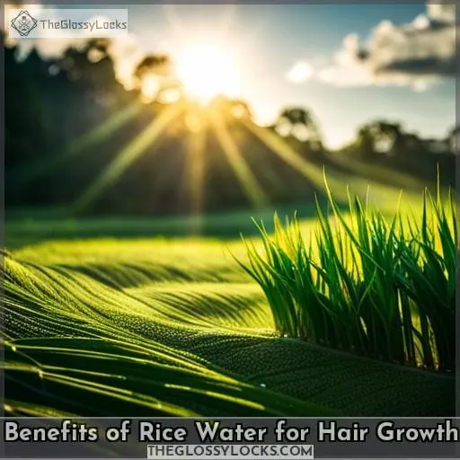Benefits of Rice Water for Hair Growth