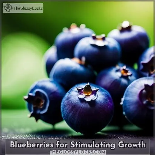 Blueberries for Stimulating Growth