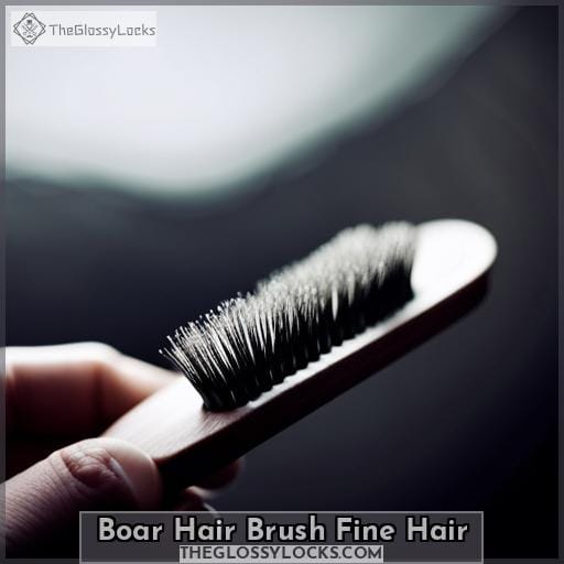 Boar Hair Brush Fine Hair