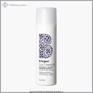 Briogeo Curl Charisma Hydrating Shampoo, B06Y4HDBWC