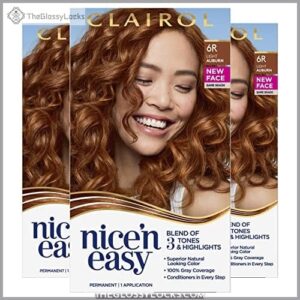 Clairol Nice'n Easy Permanent Hair B07CBJ341W