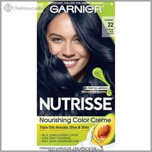 Garnier Nutrisse Nourishing Color Creme,