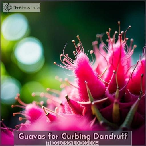 Guavas for Curbing Dandruff