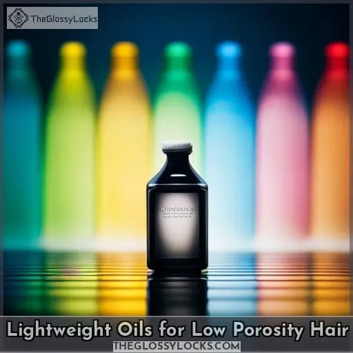 Lightweight Oils for Low Porosity Hair