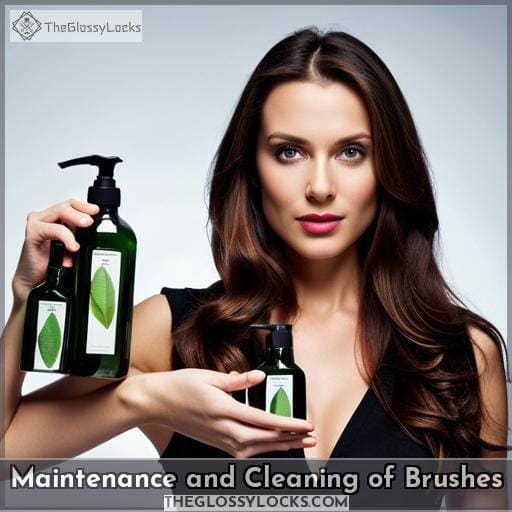 Maintenance and Cleaning of Brushes