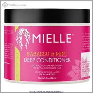 Mielle Organics Babassu & Mint