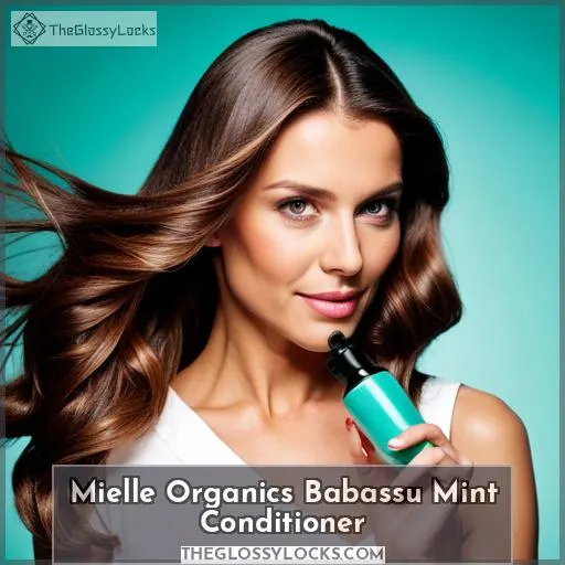 Mielle Organics Babassu Mint Conditioner