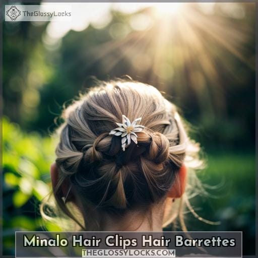Minalo Hair Clips Hair Barrettes