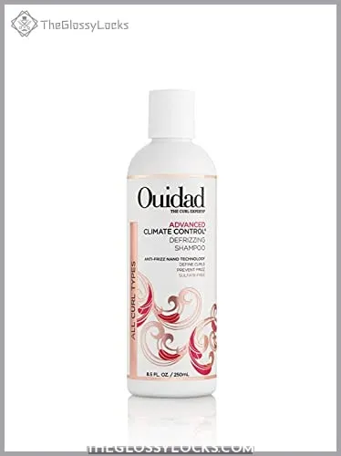 Ouidad Advanced Climate Control Defrizzing
