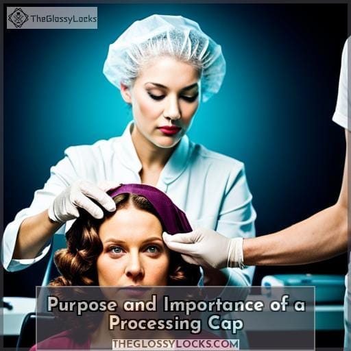 Purpose and Importance of a Processing Cap Purpose and Importance of a Processing Cap