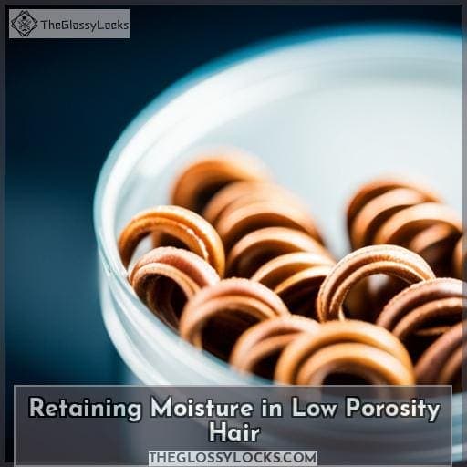 Retaining Moisture in Low Porosity Hair Retaining Moisture in Low Porosity Hair