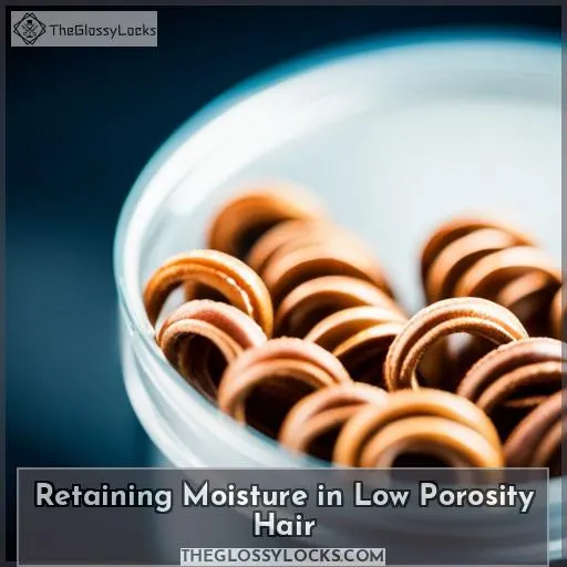 Retaining Moisture in Low Porosity Hair