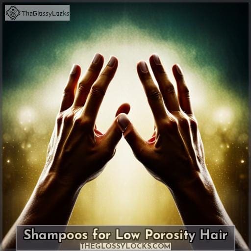 Shampoos for Low Porosity Hair
