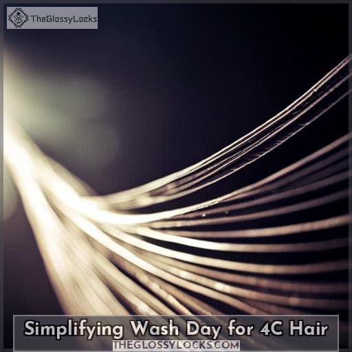 Simplifying Wash Day for 4C Hair