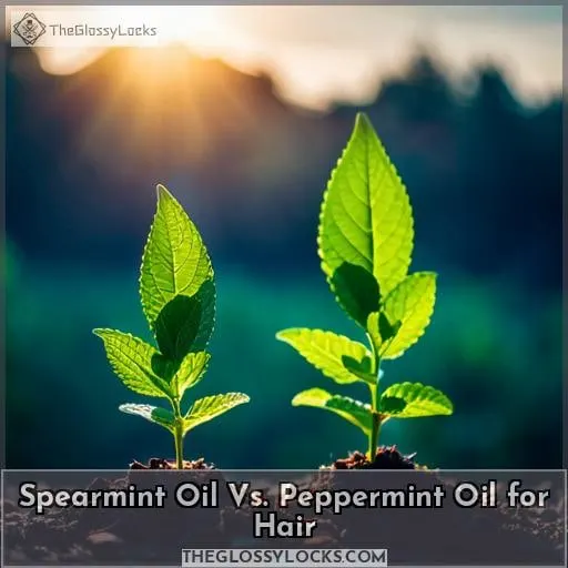Spearmint Oil Vs. Peppermint Oil for Hair