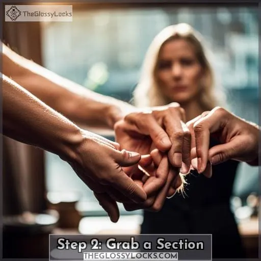 Step 2: Grab a Section