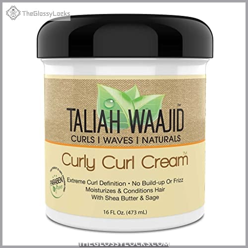 Taliah Waajid Curls Waves Natural