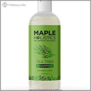 Tea Tree Shampoo for Men B01MYGUSUD