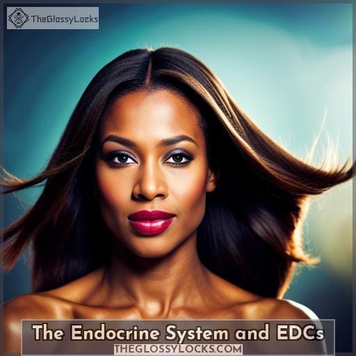 The Endocrine System and EDCs