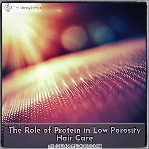 The Role of Protein in Low Porosity Hair Care