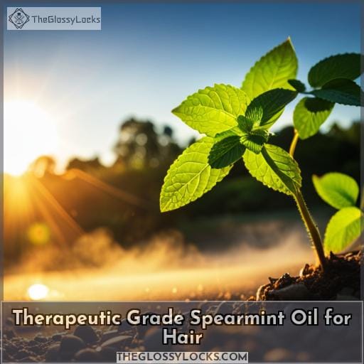Therapeutic Grade Spearmint Oil for Hair