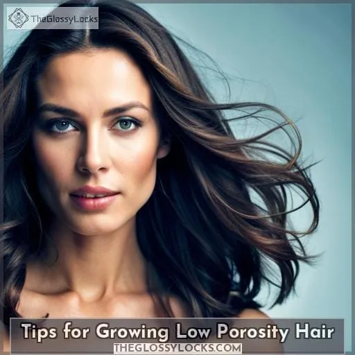 Tips for Growing Low Porosity Hair