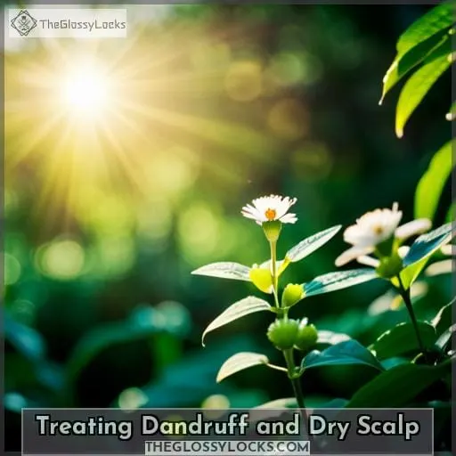 Treating Dandruff and Dry Scalp